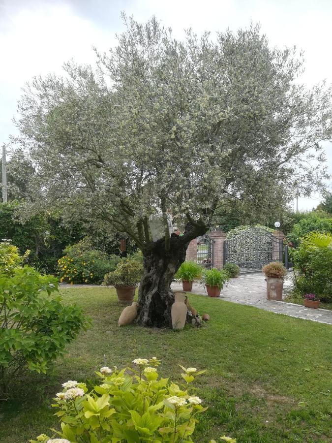 فندق Casa Pianta كافالّينو المظهر الخارجي الصورة